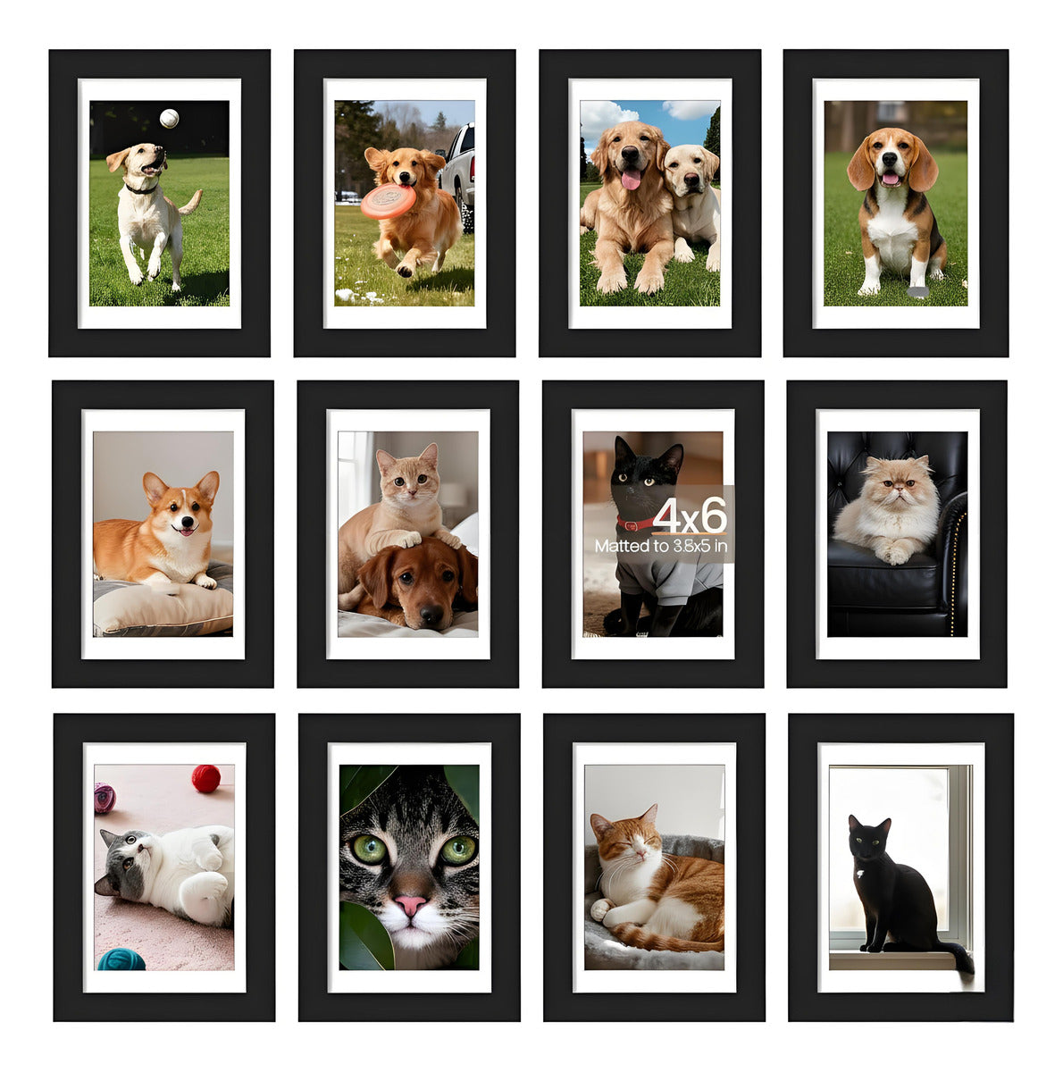 12 Piezas Marco De Fotos Marcos Cuadros Decorativos Retrato