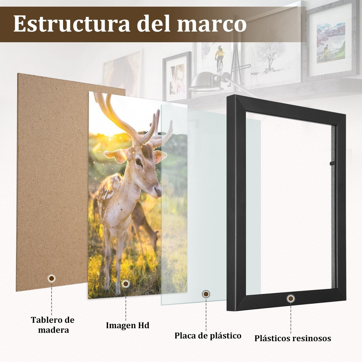 Set X 9 Cuadros Begônia Marco Negro