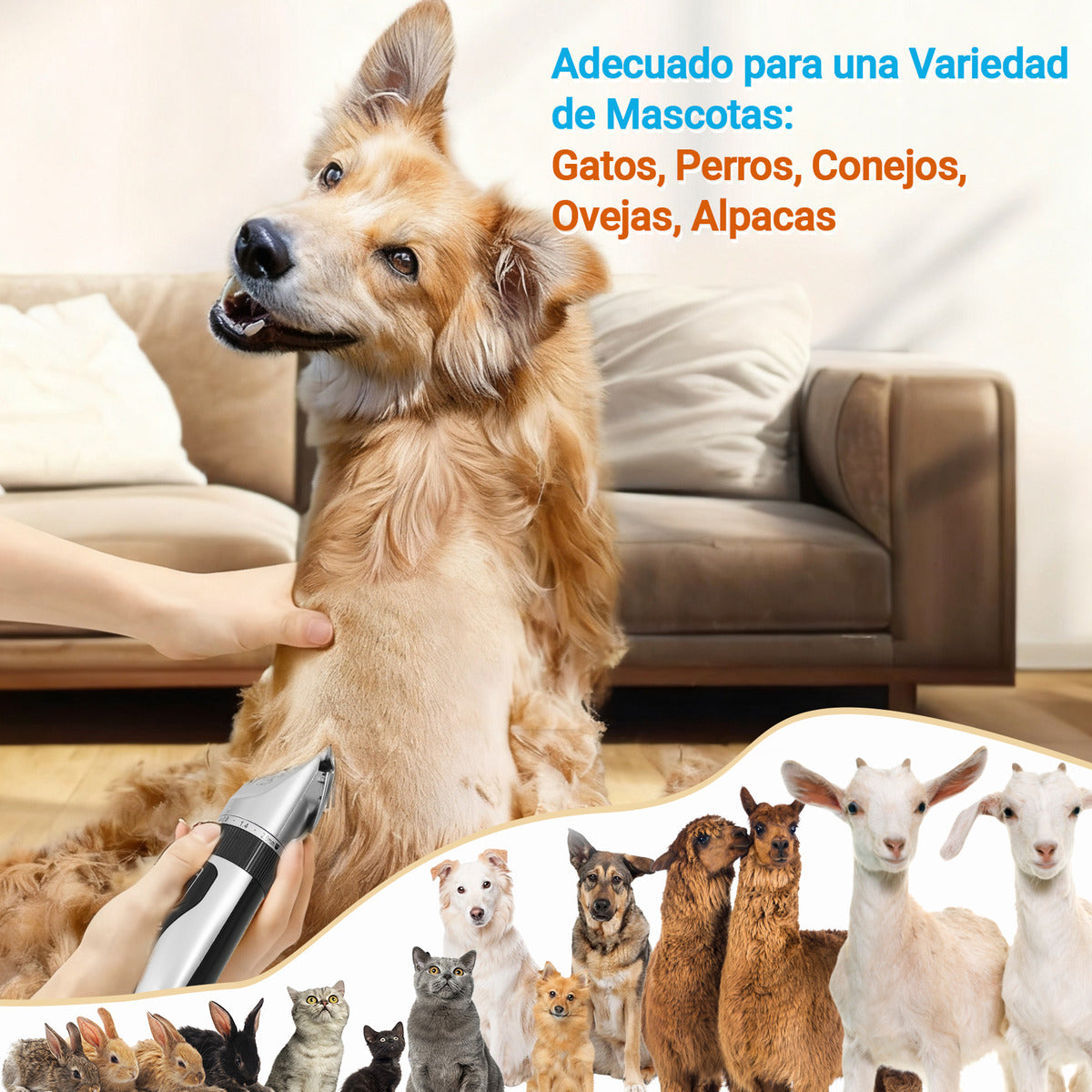 Kit Maquina Cortadora Perros Gatos Accesorios
