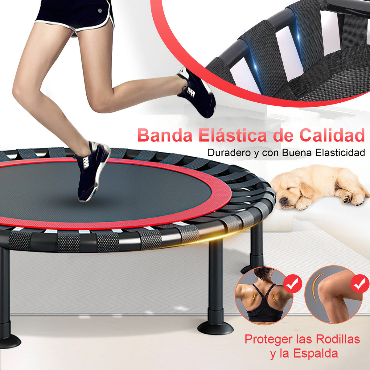 Trampolín Brincolín Para Aeróbicos Fitness Ejercicio Jumping