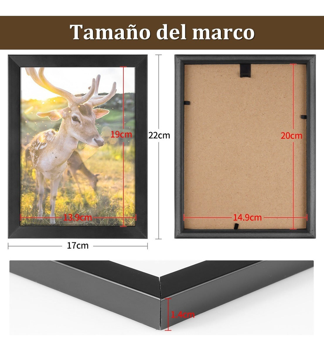 Set X 9 Cuadros Begônia Marco Negro